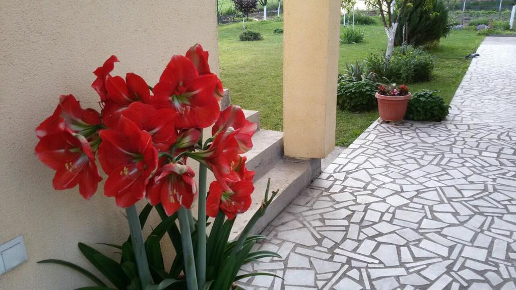 Apartment Anastasija Doboj Kültér fotó